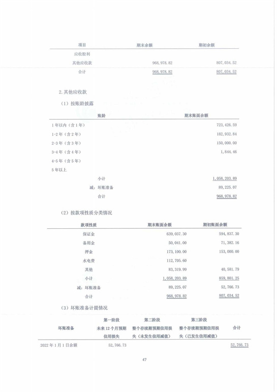 11、匯杰設(shè)計(jì)-2022年度審計(jì)報(bào)告_47.jpg